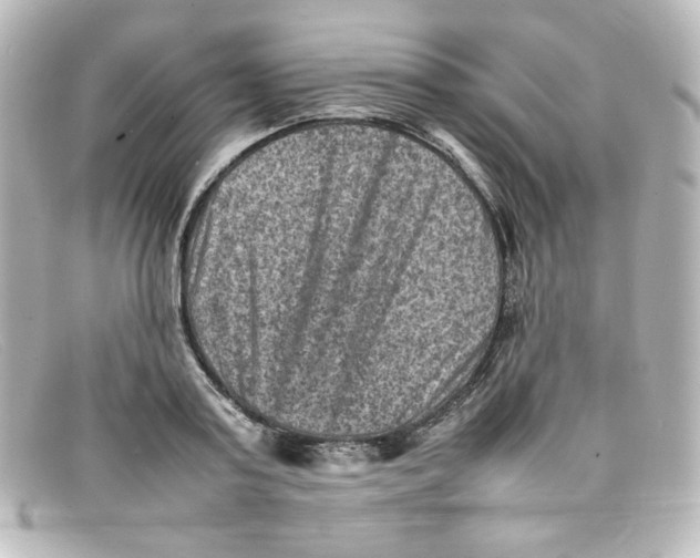 X0000098160795200805081102