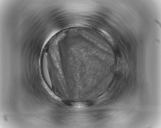 X0000098160796200805081102