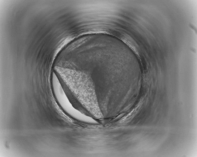 X0000098160797200805081102