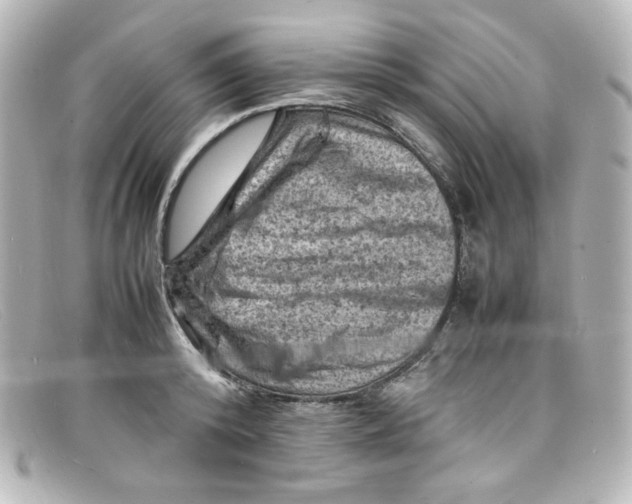 X0000098160800200805081102