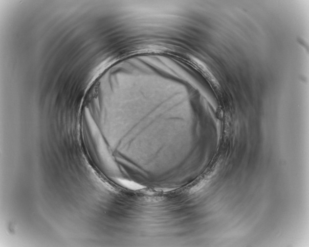 X0000098160802200805081102