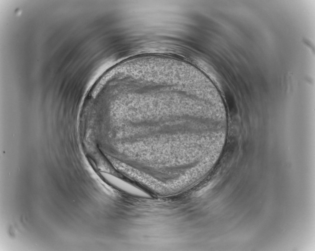 X0000098160803200805081102