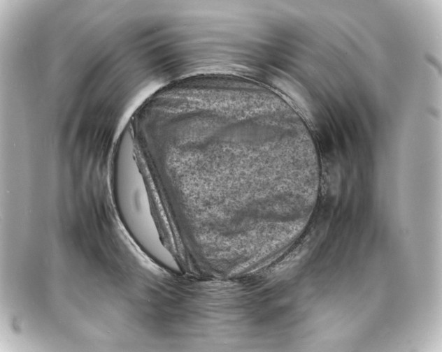 X0000098160804200805081102
