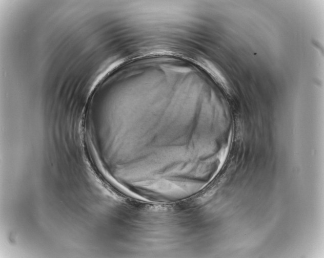 X0000098160806200805081102