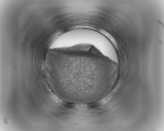 X0000098160809200805081102