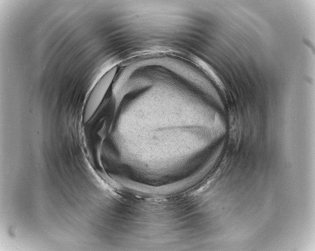 X0000098160810200805081102