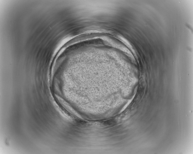 X0000098160811200805081102