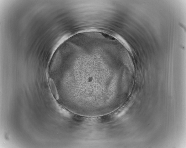 X0000098160813200805081102