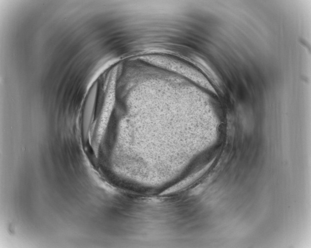 X0000098160814200805081102