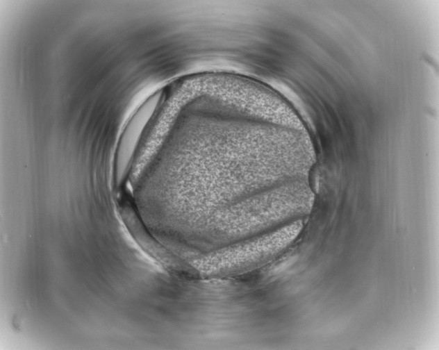 X0000098160815200805081102