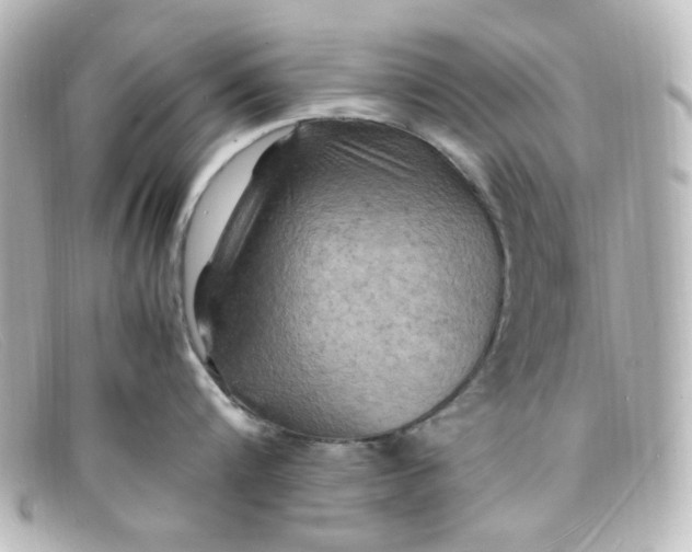 X0000098160816200805081102