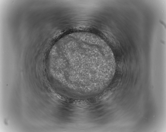 X0000098160817200805081101