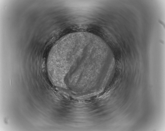 X0000098160818200805081101