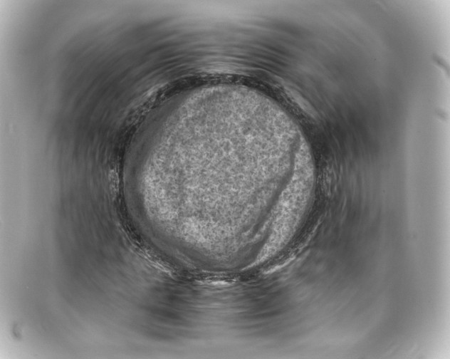 X0000098160821200805081102