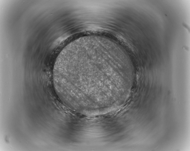 X0000098160822200805081102