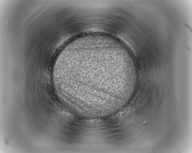 X0000098160823200805081102