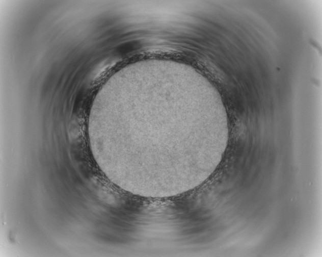 X0000098160824200805081102