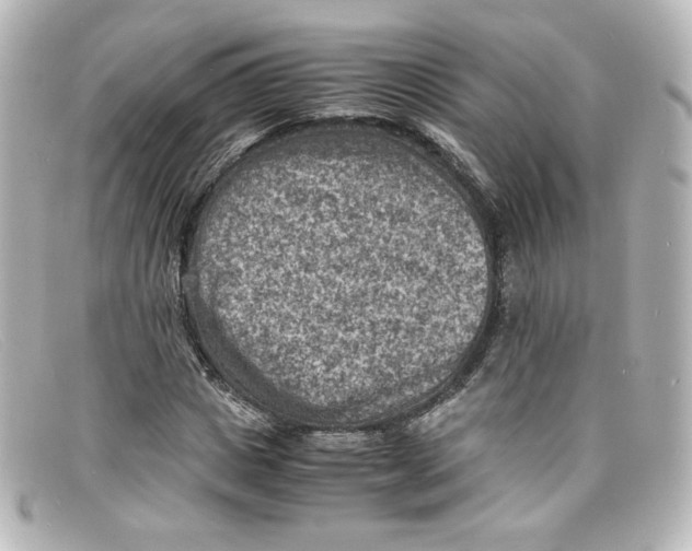 X0000098160825200805081102