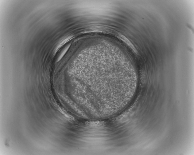 X0000098160826200805081102
