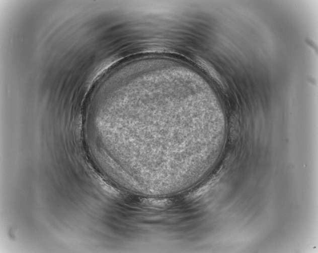 X0000098160831200805081102