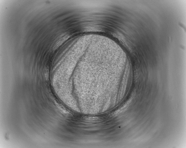 X0000098160833200805081102