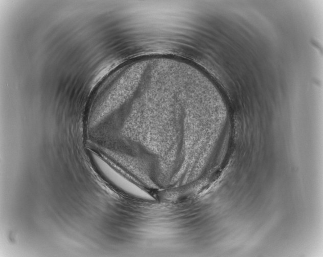 X0000098160834200805081102
