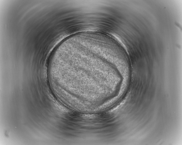 X0000098160835200805081102