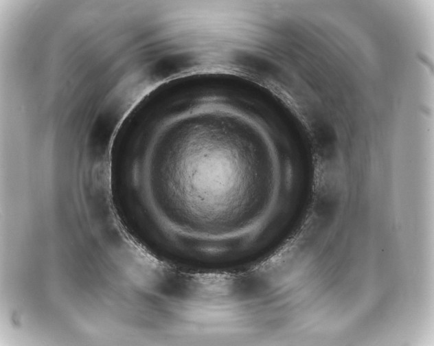 X0000098160836200805081102