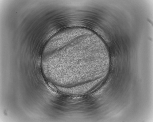 X0000098160841200805081102