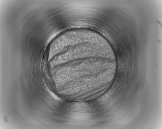 X0000098160842200805081102