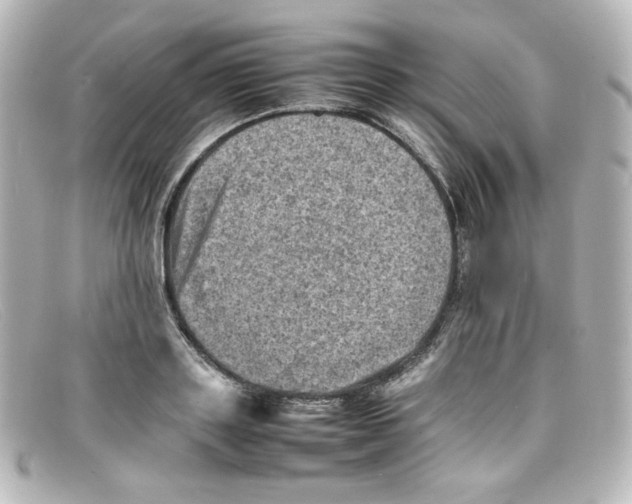 X0000098160843200805081102