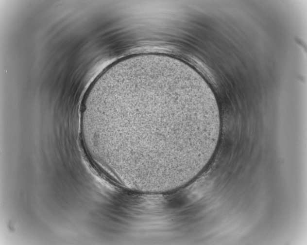 X0000098160844200805081102