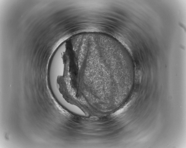 X0000098160845200805081102