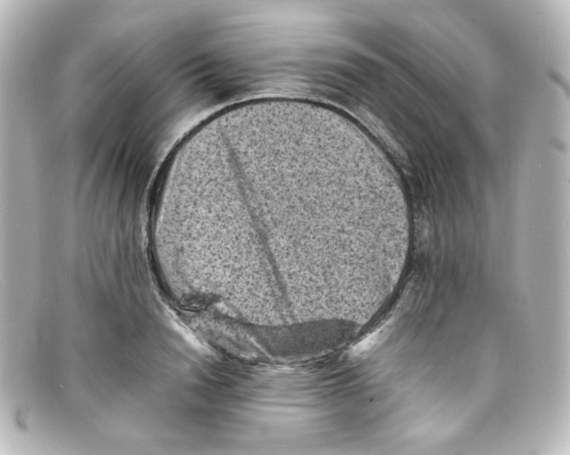 X0000098160846200805081102
