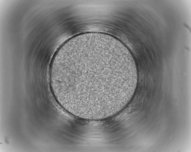 X0000098160848200805081102