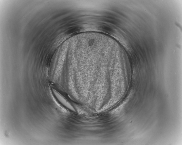 X0000098160849200805081102