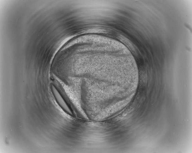 X0000098160852200805081102