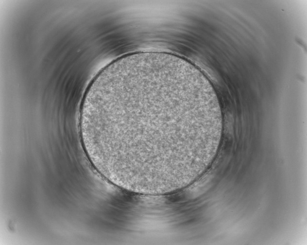 X0000098160856200805081102