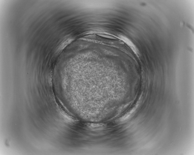 X0000098160857200805081102