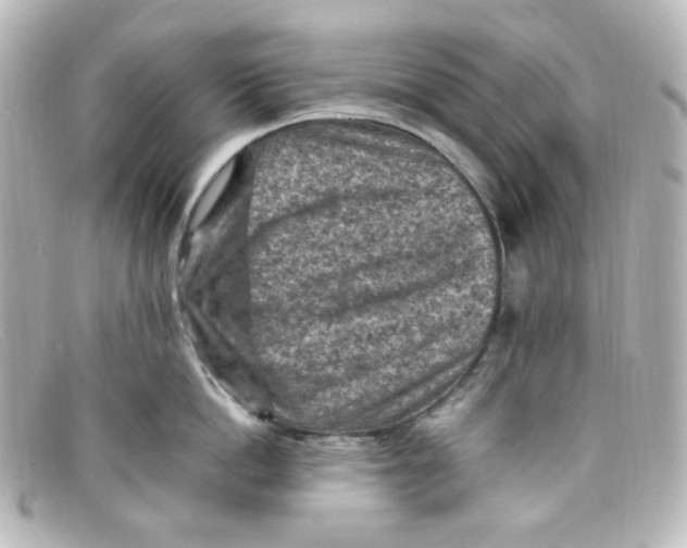 X0000098160862200805081102