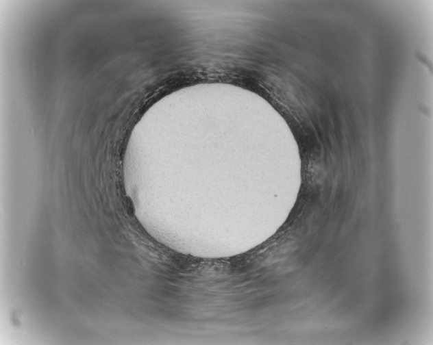 X0000098160865200805081101