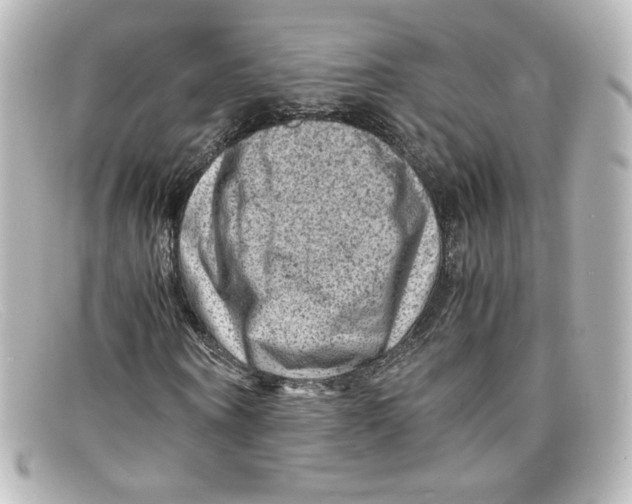 X0000098160866200805081101