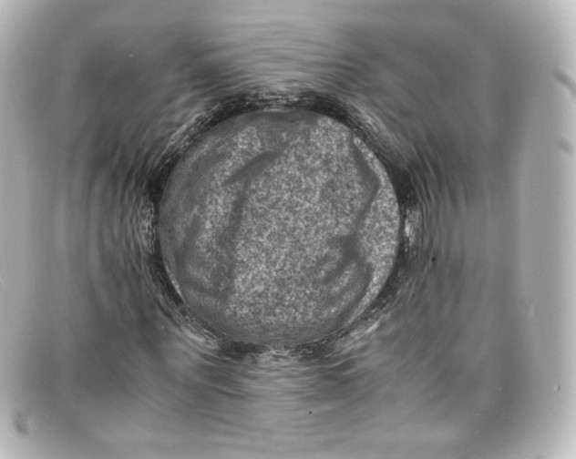 X0000098160867200805081101