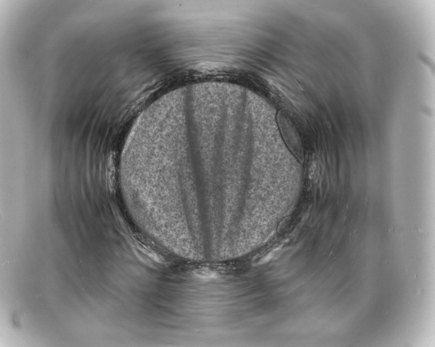 X0000098160868200805081101