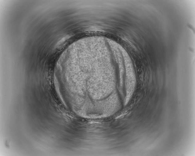 X0000098160870200805081101