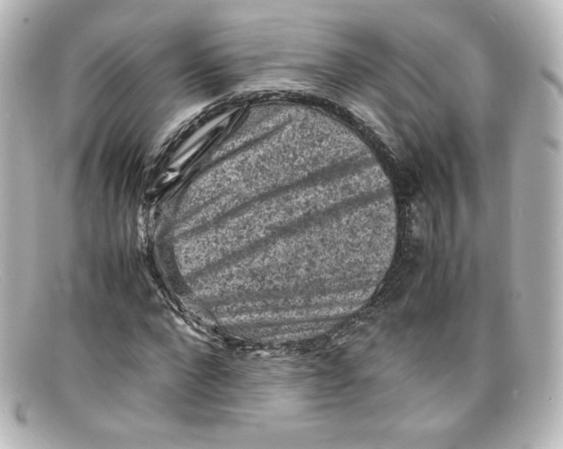 X0000098160872200805081101