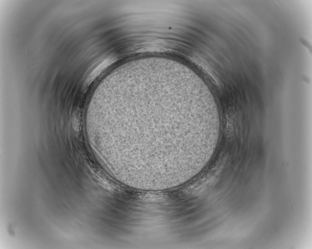 X0000098160874200805081101