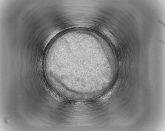 X0000098160875200805081101