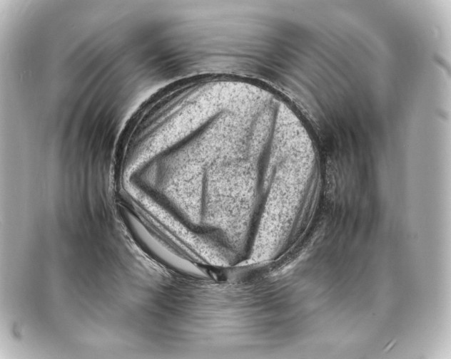 X0000098160880200805081101