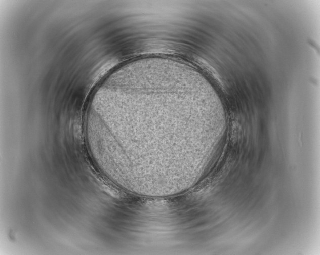X0000098160882200805081101